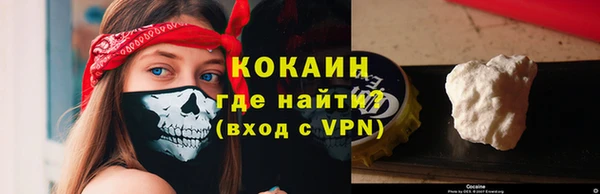 дживик Бородино