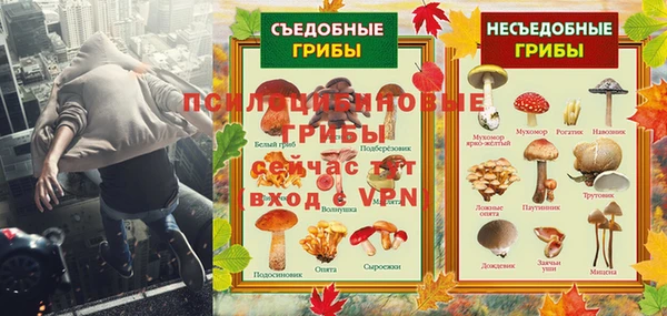 мет Богданович