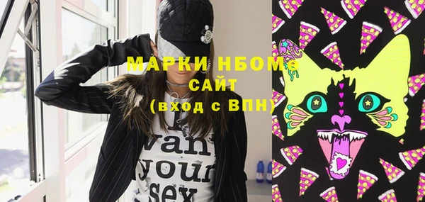 дживик Бородино