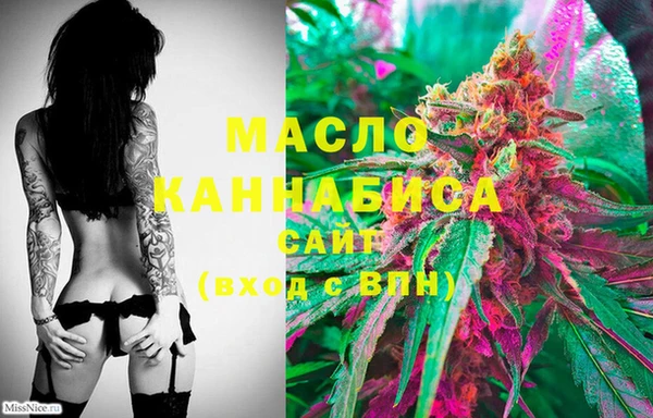 дживик Бородино