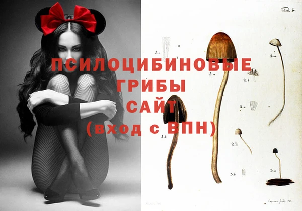 ECSTASY Заволжск