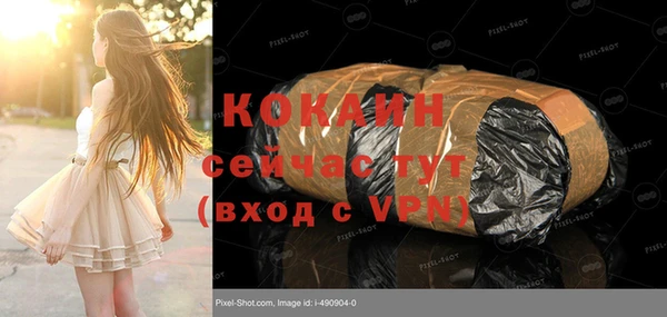 дживик Бородино