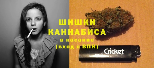 дживик Бородино