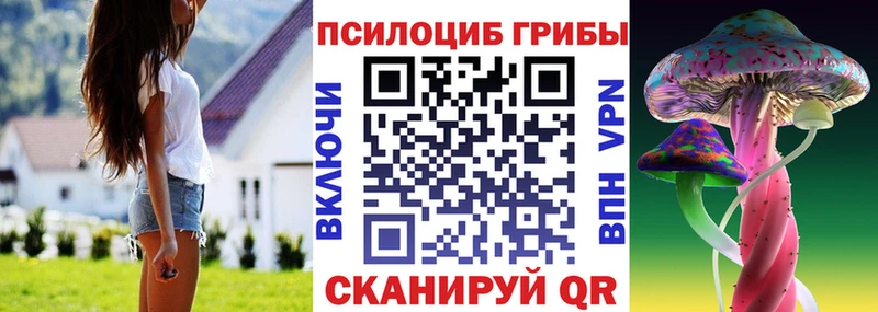 Псилоцибиновые грибы прущие грибы  где продают   Козьмодемьянск 